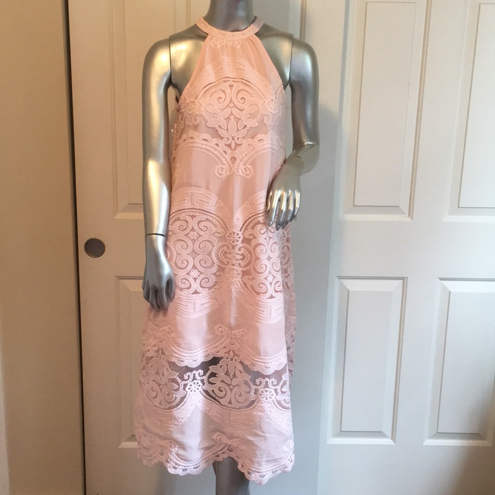 Hot & Delicious embroidered midi dress lace